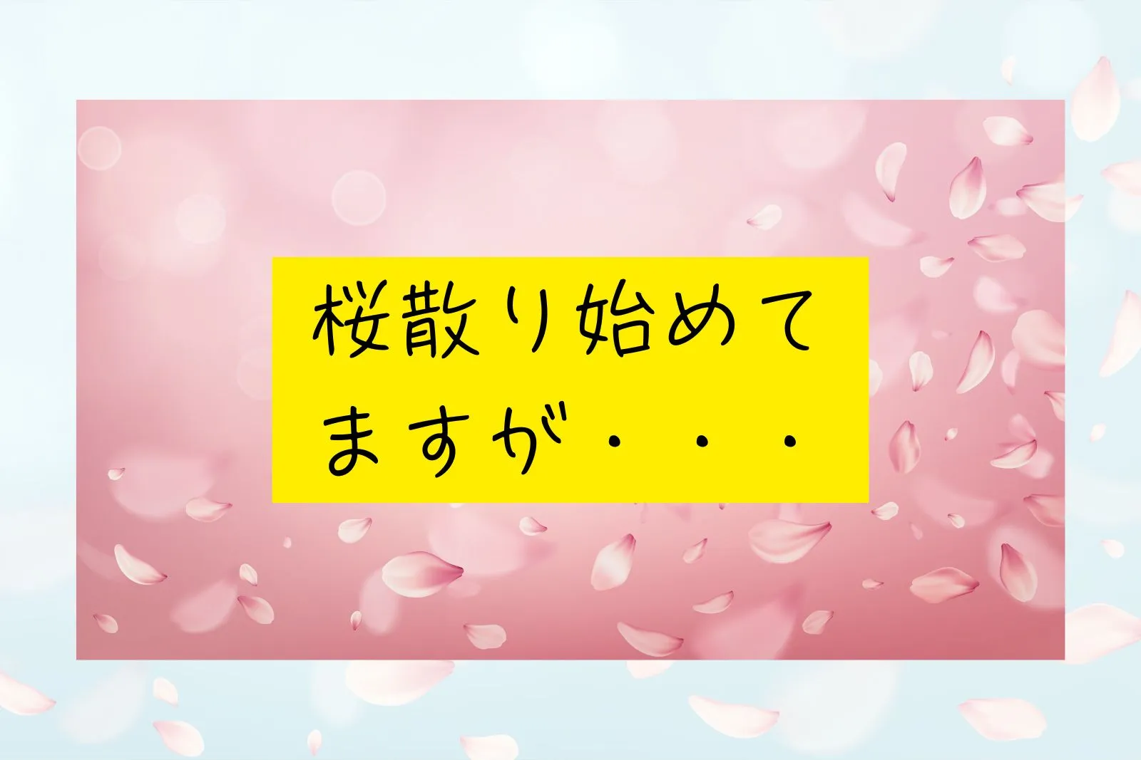 桜散り始めてますが・・・