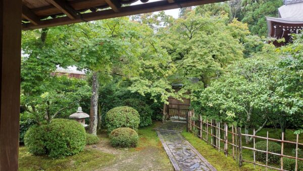 新緑の一休寺さん